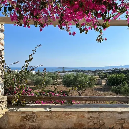 Stone Mina Αγκαιριά